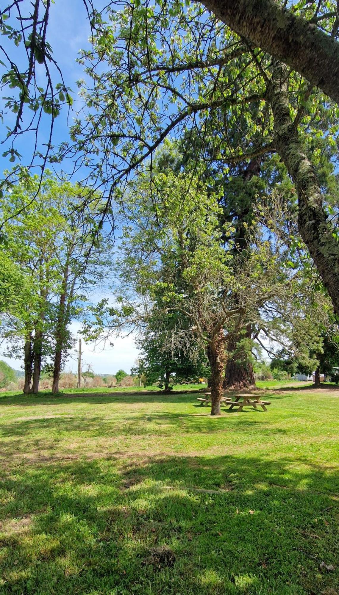 Le Domaine Lieu Bill, Normandie Blonville-sur-Mer Esterno foto